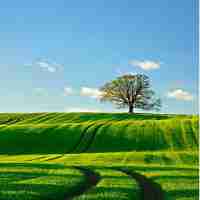 怎​么‌添‍加‌智‍能‌门​锁‍NFC